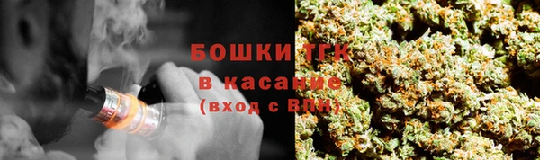 дживик Абинск