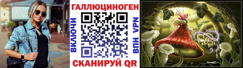 Галлюциногенные грибы Psilocybe  что такое   Комсомольск-на-Амуре 